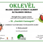 I. Helyezés