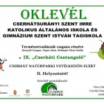 II. Helyezés
