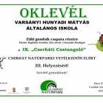 III. Helyezés